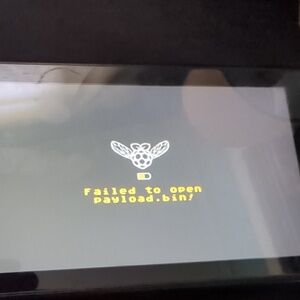 Nintendo switch picofly modchip